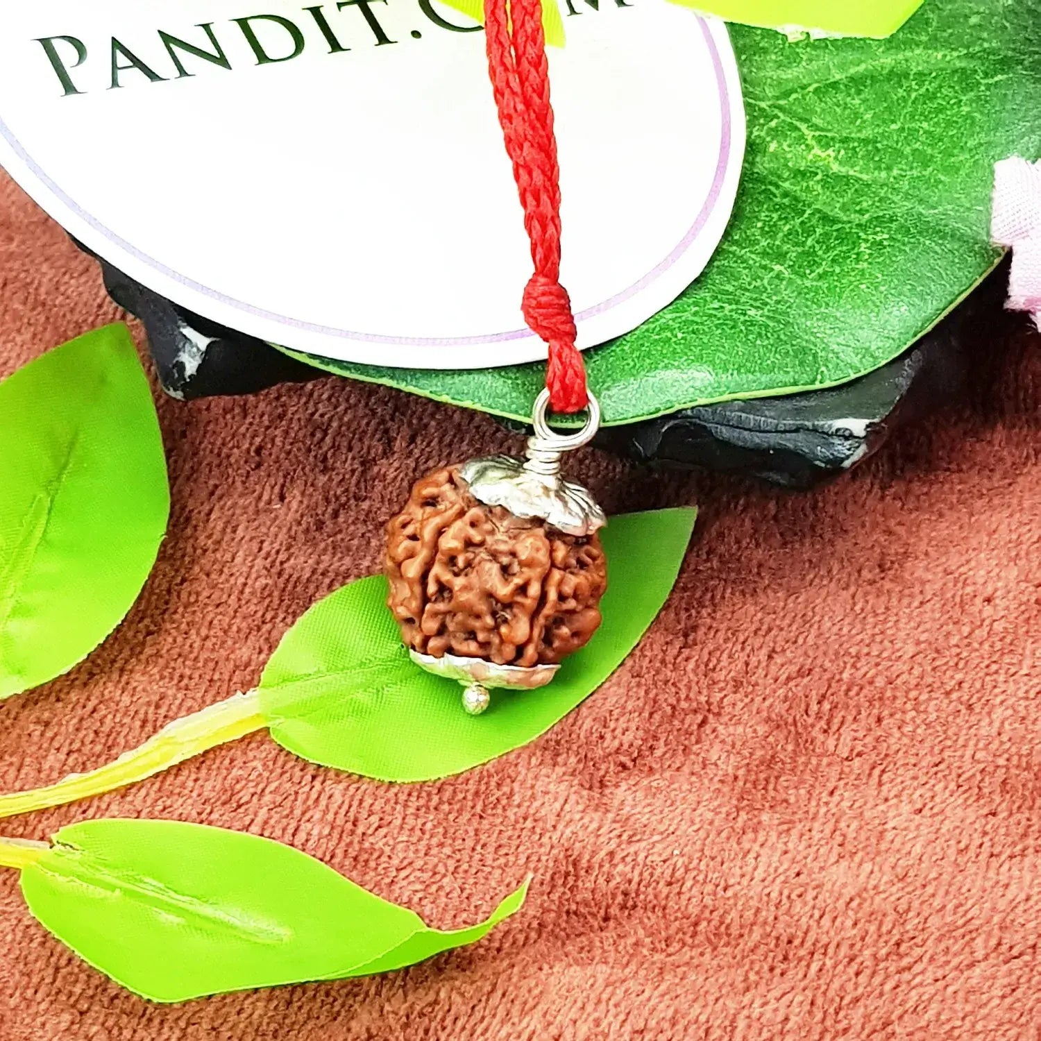 5 Mukhi Nepal Rudraksha