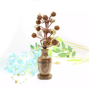 Five Mukhi Rudraksha Tree with Kaudi and Gomti Chakra