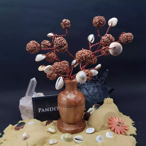Five Mukhi Rudraksha Tree with Kaudi and Gomti Chakra