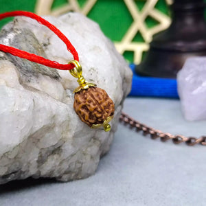 4 Mukhi Rudraksha тАУ Indonesia