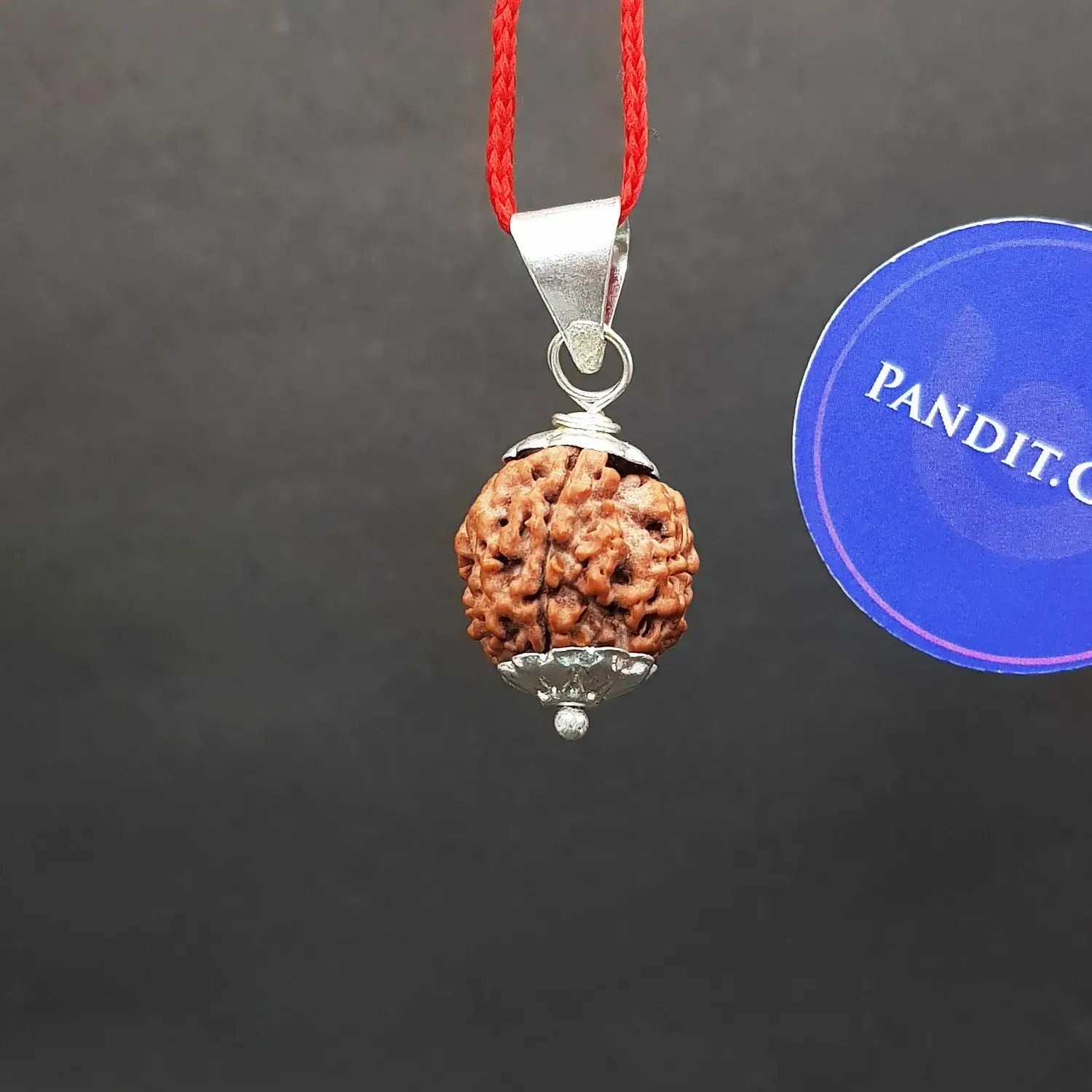 4 Faced Nepal Rudraksha