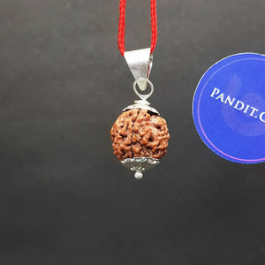4 Faced Nepal Rudraksha