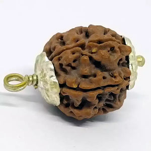 Ganesh Premium Rare Rudraksha