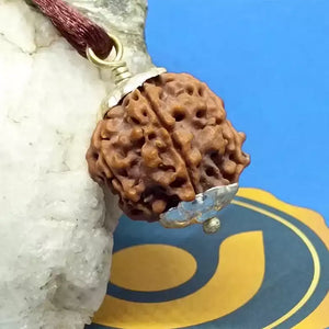 Ganesh Premium Rare Rudraksha