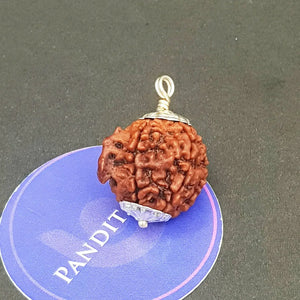 Ganesh Premium Rare Rudraksha