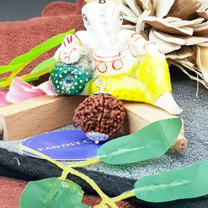 Ganesh Premium Rare Rudraksha