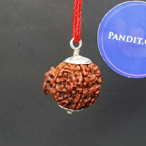 Ganesh Premium Rare Rudraksha