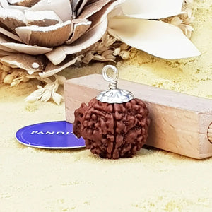 Ganesh Premium Rare Rudraksha