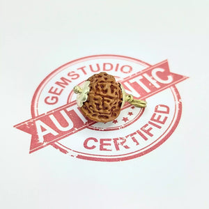 Ganesh Rudraksha – Indonesia