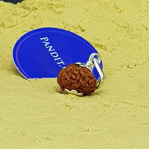 Ganesh Rudraksha - Indonesia