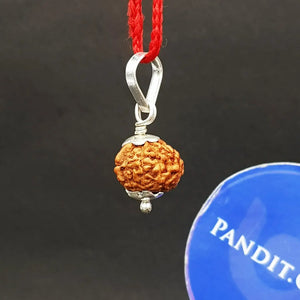 Ganesh Rudraksha - Indonesia