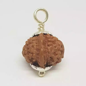 Ganesh Rudraksha - Indonesia