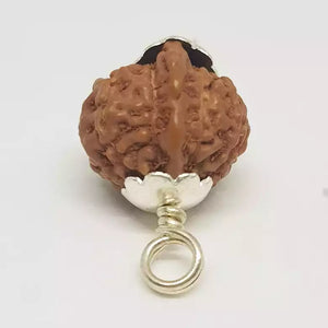 Ganesh Rudraksha - Indonesia