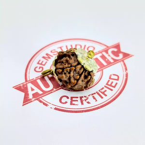 Ganesh Rudraksha – Nepal