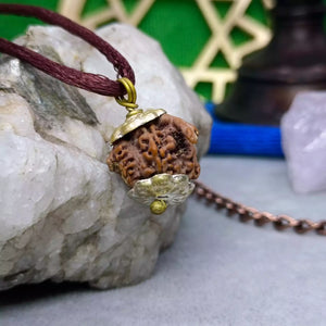 Ganesh Rudraksha – Nepal