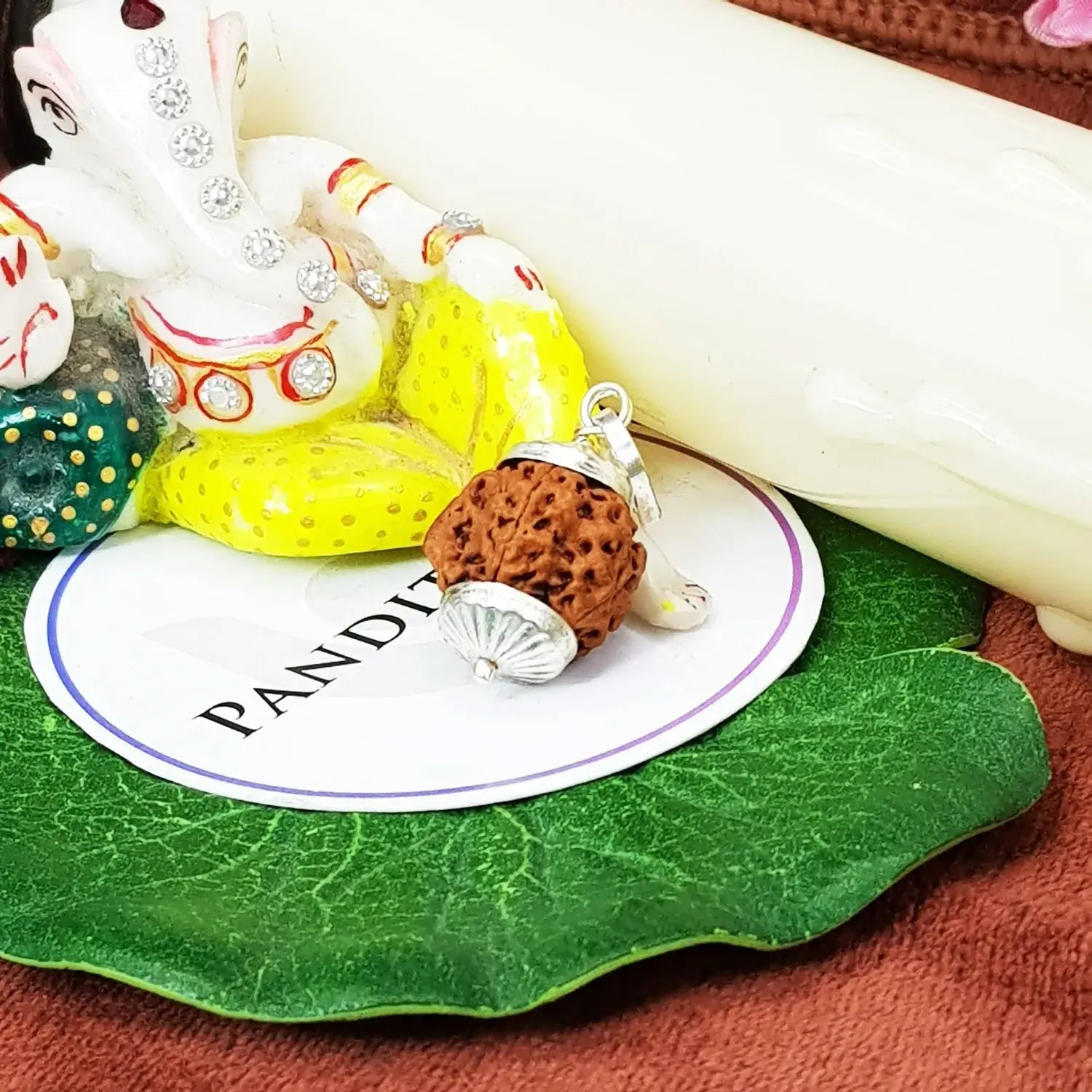 Ganesh Rudraksha - Nepal