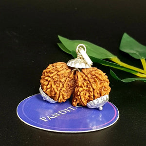 Gauri Shankar Ganesh Super Premium Rudraksha
