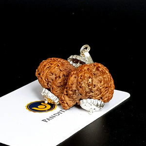 Gauri Shankar Ganesh Super Premium Rudraksha