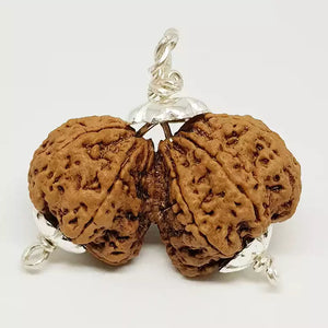 Gauri Shankar Premium Rare Rudraksha