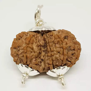 Gauri Shankar Premium Rare Rudraksha