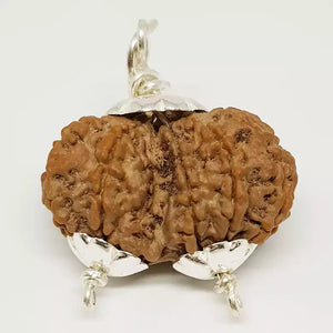 Gauri Shankar Premium Rare Rudraksha