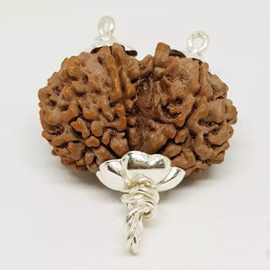 Gauri Shankar Premium Rare Rudraksha