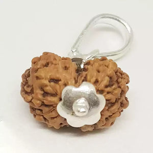 Gauri Shankar Rudraksha - Indonesia