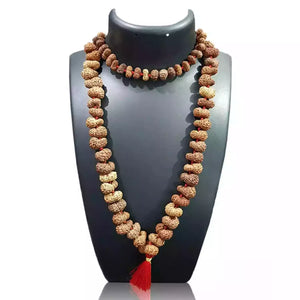 Gauri Shankar Rudraksha Mala