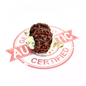 Gauri Shankar Rudraksha – Nepal