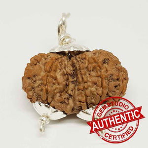 Gauri Shankar Premium Rare Rudraksha