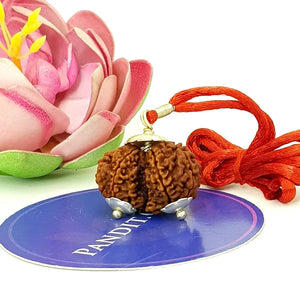 Gauri Shankar Super Premium Rudraksha