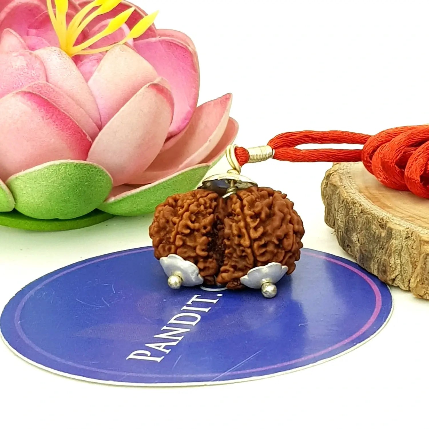 Gauri Shankar Super Premium Rudraksha