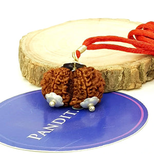 Gauri Shankar Super Premium Rudraksha