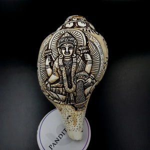 Goddess Lakshmi Carved Shankh