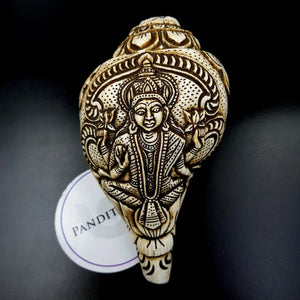 Goddess Lakshmi Carved Shankh
