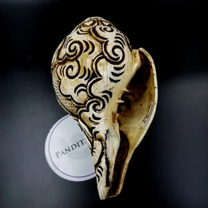Goddess Lakshmi Carved Shankh