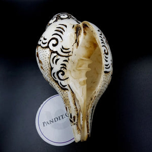 Goddess Lakshmi Carved Shankh