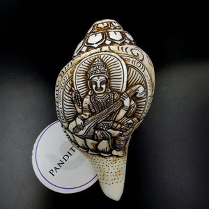 Goddess Saraswati Carved Shankh