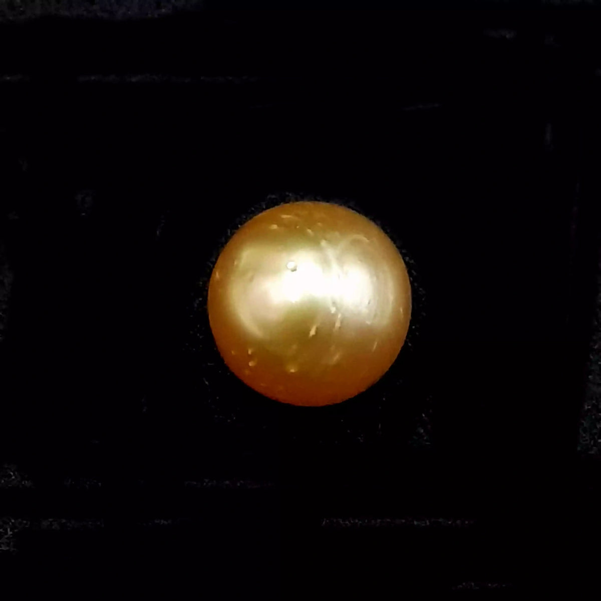 Golden Pearl Gemstone - 8.16 Carat - A+ Quality