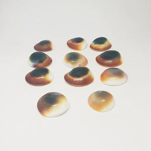 Gomti Chakra for Evil Eye