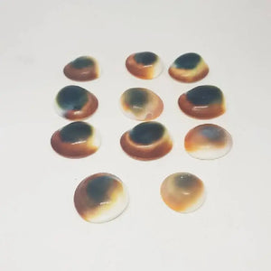 Gomti Chakra for Evil Eye