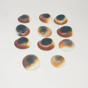 Gomti Chakra for Evil Eye