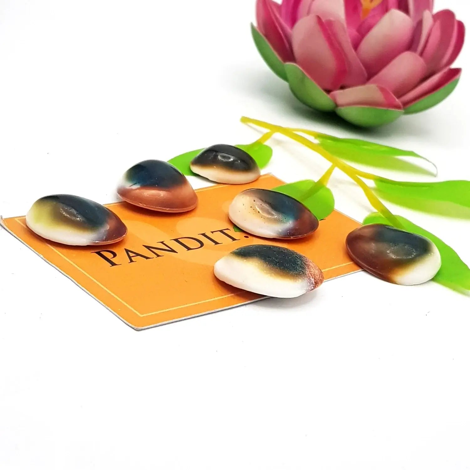 Gomti Chakra for Evil Eye