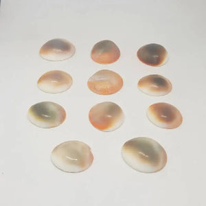 Gomti Chakra for Money