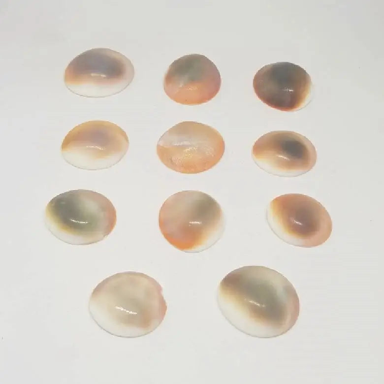 Gomti Chakra for Money