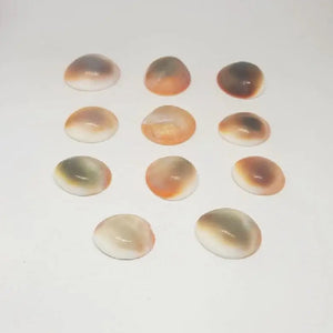 Gomti Chakra for Money