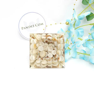 Gomti Chakra Orgone Pyramid With Coil Quartz