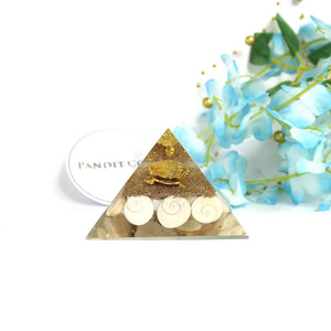 Gomti Chakra Orgone Pyramid With Tortoise