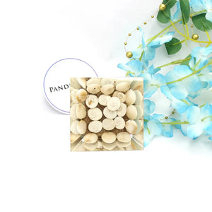 Gomti Chakra Orgone Pyramid With Tortoise