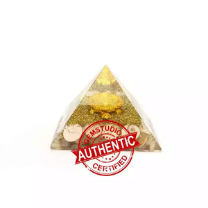 Gomti Chakra Orgone Pyramid with Tortoise